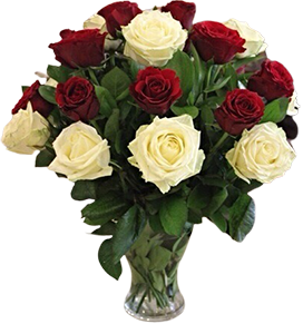 vase of red and white roses and greens