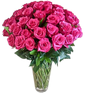 A flower vase of fuchsia roses