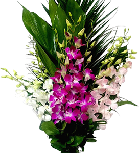 A flower bouquet of baby orchids of different colors with greenery