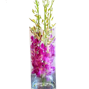 A flower vase with purple baby orchids