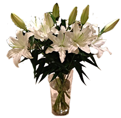 A flower vase of white lilies
