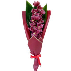 A flower bouquet for delivery in Egypt, with a red cymbidium orchid and green leaves, wrapped in a hand bouquet