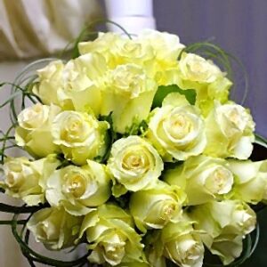 flower bouquet white roses