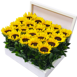 box of sunflowers