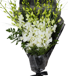 A flower bouquet of white orchids