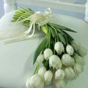 flower bouquet with white tulips