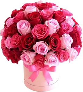 A pink box of red, fuchsia, pink roses and tied with a ribbon