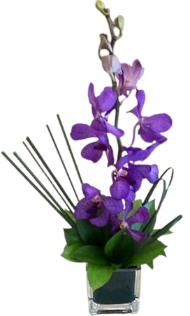 A small flower vase of a single purple orchid with green leaves